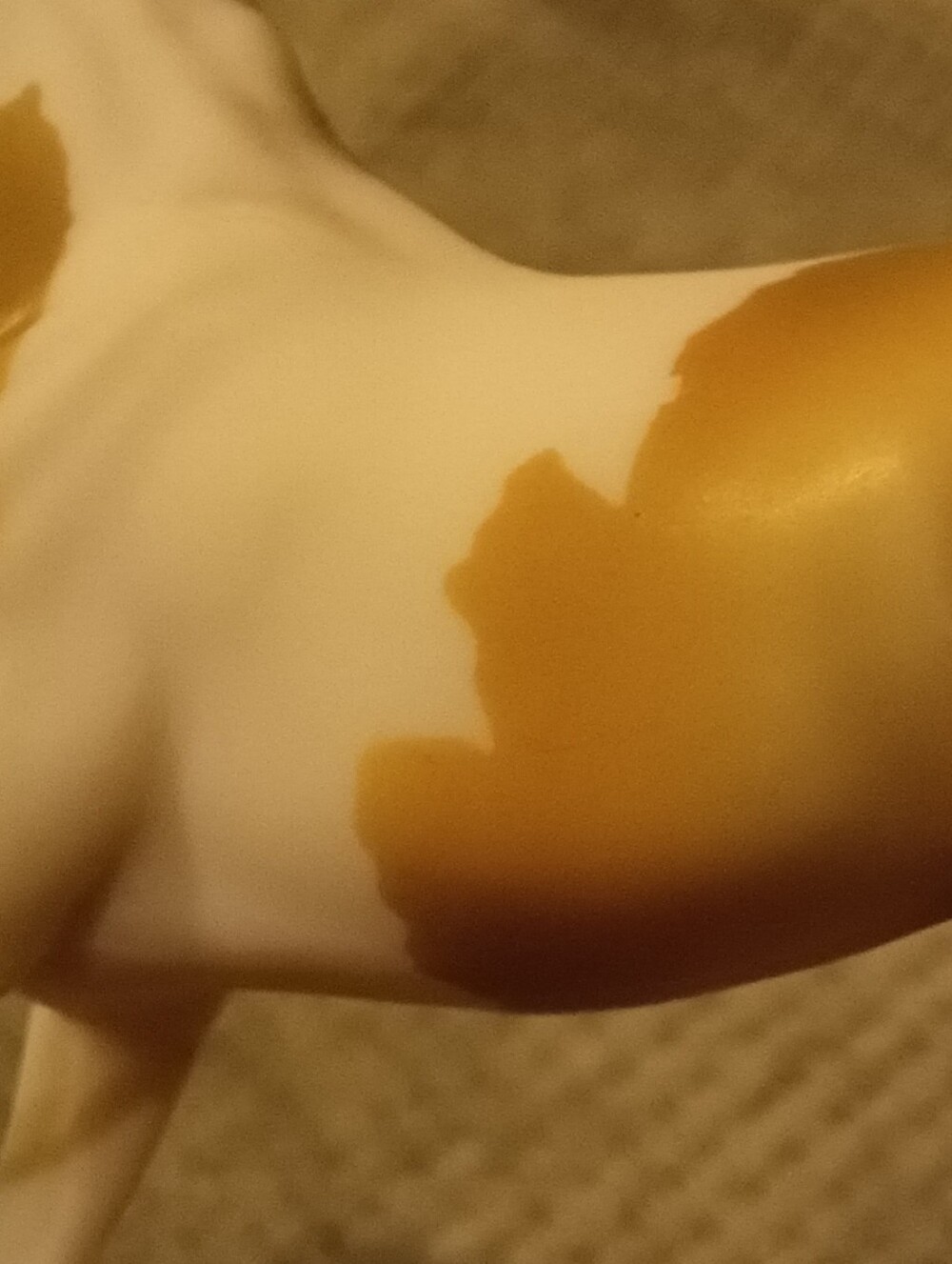 Breyer Spaetzle - Picture 10 of 16